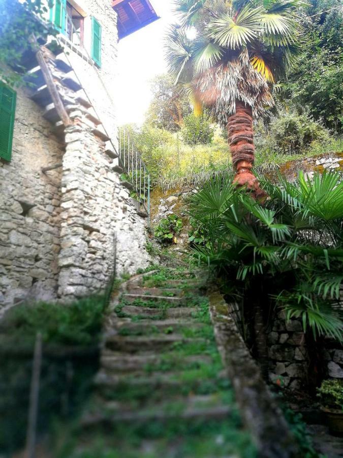 Ferienwohnung Rustico Vista Lago Lezzeno Exterior foto